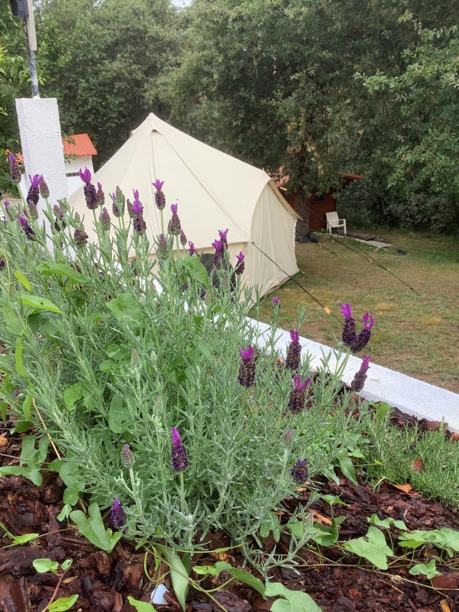 Kemping Glamping De Cerveira Vila Nova de Cerveira